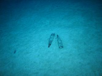 Two unexploded shells on seabed - possibly 4-inch